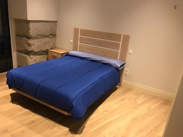 Alquiler 2 Dormitorio Apartamentos Madrid Madrid DS104224922