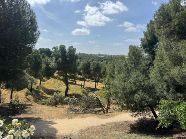Alquiler 2 Dormitorio Apartamentos Majadahonda Majadahonda DLS102589179