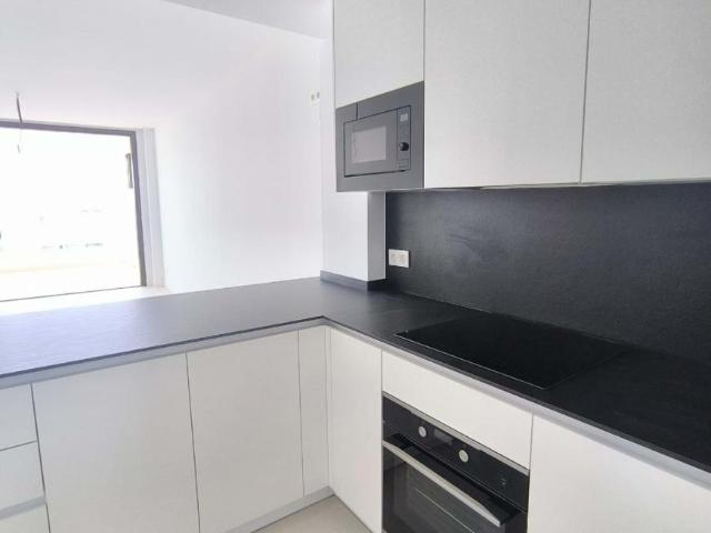 Alquiler 2 Dormitorio Apartamentos Málaga Andalusia DLS100156721