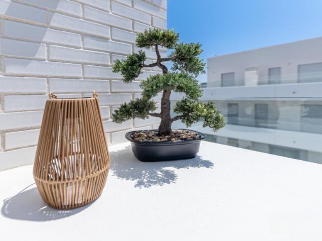 Alquiler 2 Dormitorio Apartamentos Málaga Andalusia DS101777496