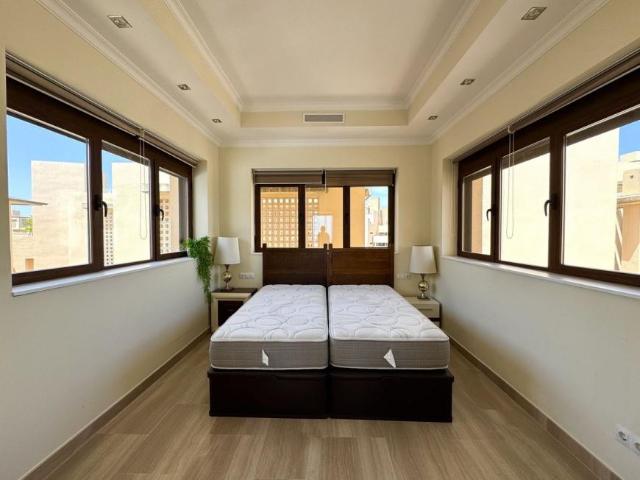 Alquiler 2 Dormitorio Apartamentos Málaga Andalusia DS101795976