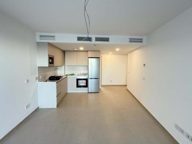 Alquiler 2 Dormitorio Apartamentos Málaga Andalusia DS101024359