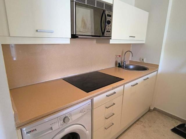 Alquiler 2 Dormitorio Apartamentos Málaga Andalusia DS101348649