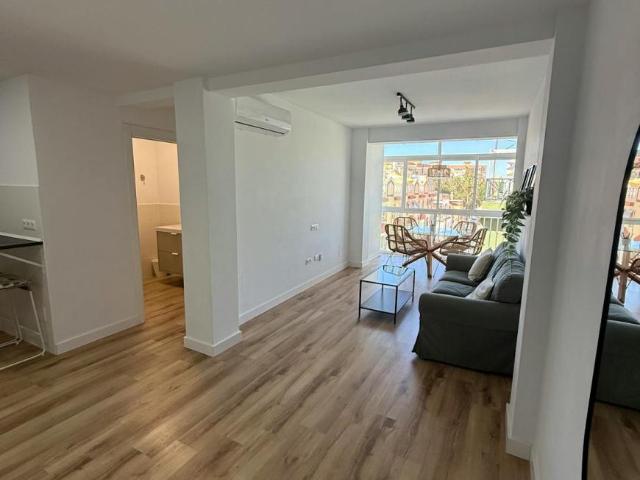 Alquiler 2 Dormitorio Apartamentos Málaga Málaga DLS102246346