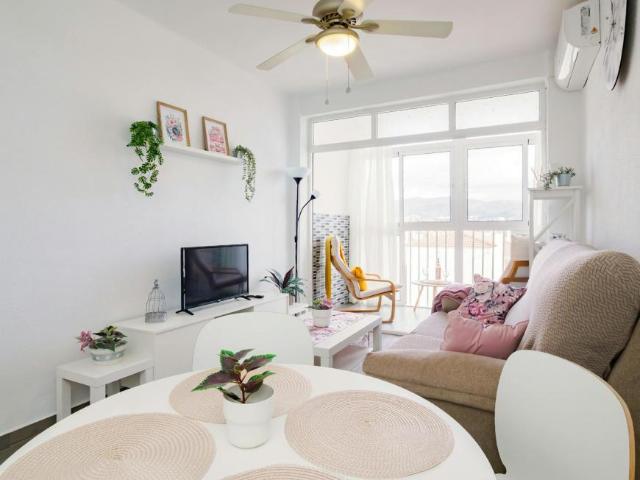 Alquiler 2 Dormitorio Apartamentos Málaga Málaga DLS102813870