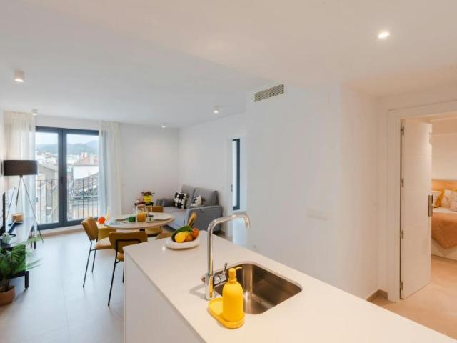 Alquiler 2 Dormitorio Apartamentos Málaga Málaga DLS102953131
