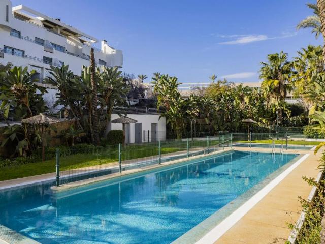 Alquiler 2 Dormitorio Apartamentos Málaga Málaga DLS89260510