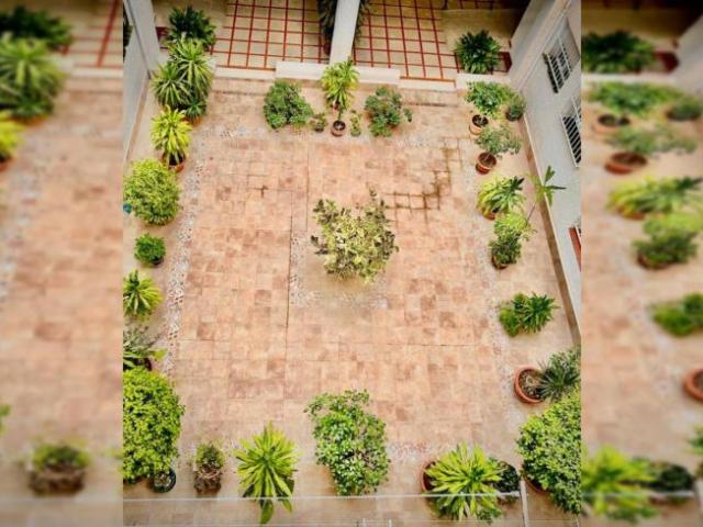 Alquiler 2 Dormitorio Apartamentos Malaga Malaga DLS96212055