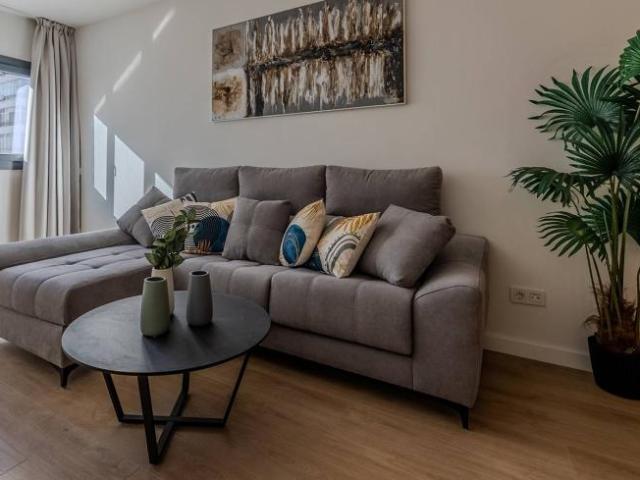 Alquiler 2 Dormitorio Apartamentos Malaga Malaga DLS97910329