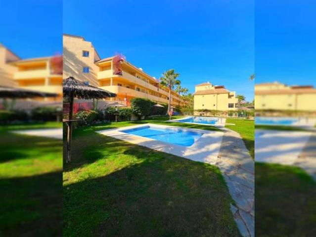 Alquiler 2 Dormitorio Apartamentos Malaga Malaga DLS98057197
