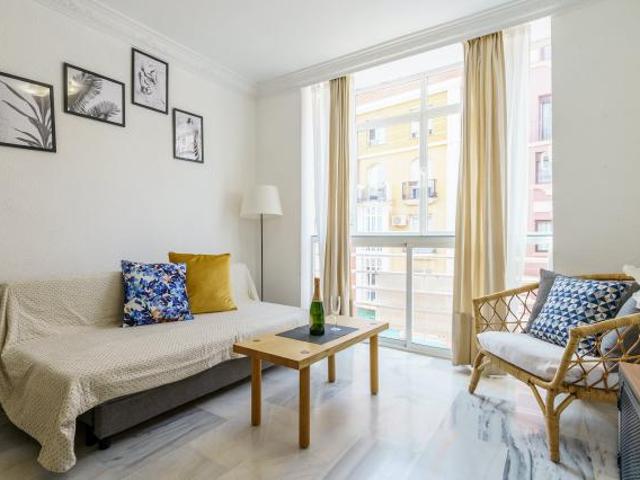 Alquiler 2 Dormitorio Apartamentos Málaga Málaga DS72110510