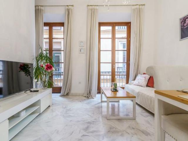 Alquiler 2 Dormitorio Apartamentos Málaga Málaga DS72110516