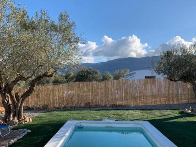 Alquiler 2 Dormitorio Apartamentos Malaga Malaga DS86085648