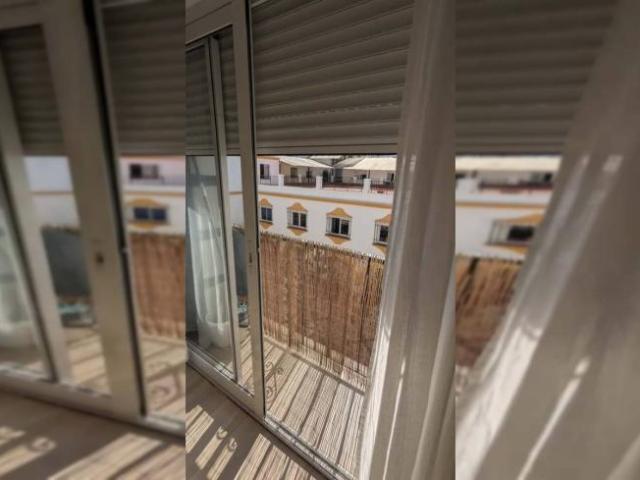 Alquiler 2 Dormitorio Apartamentos Malaga Malaga DS95198869
