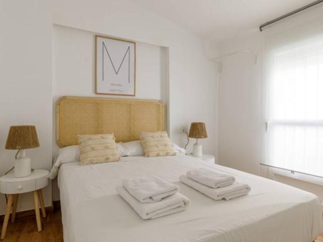 Alquiler 2 Dormitorio Apartamentos Malaga Malaga DS96690703