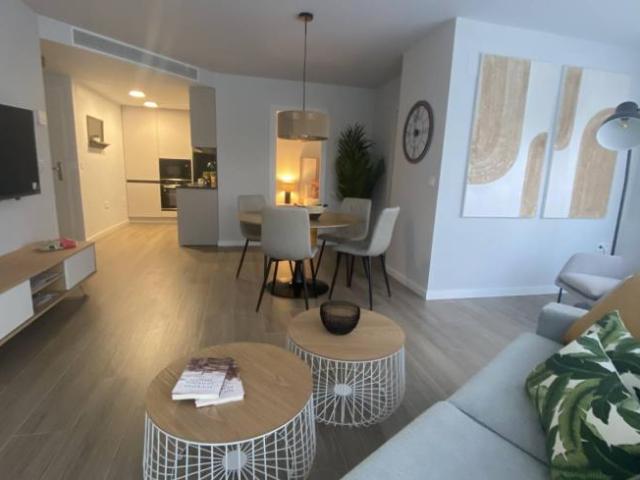Alquiler 2 Dormitorio Apartamentos Malaga Malaga DS97133560