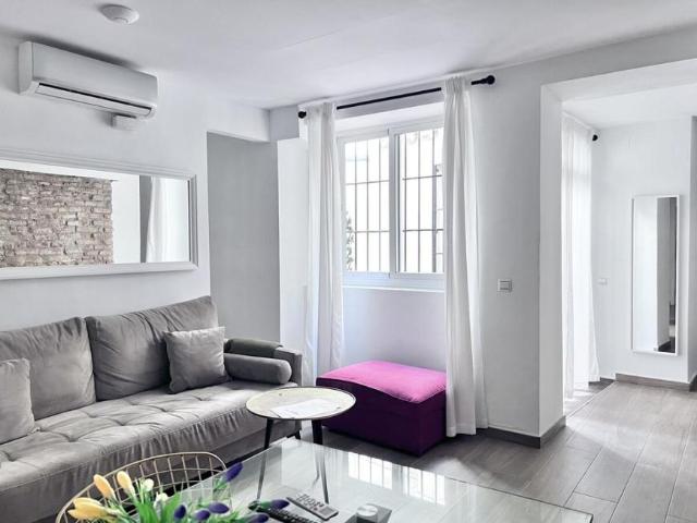 Alquiler 2 Dormitorio Apartamentos Málaga Málaga DS101655083