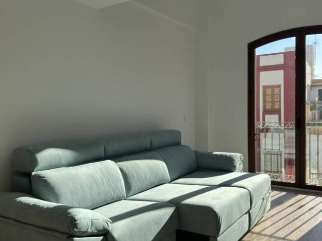 Alquiler 2 Dormitorio Apartamentos Malaga Malaga DS101731288