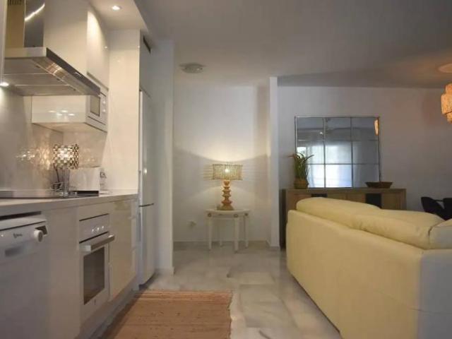 Alquiler 2 Dormitorio Apartamentos Malaga Malaga DS101811786
