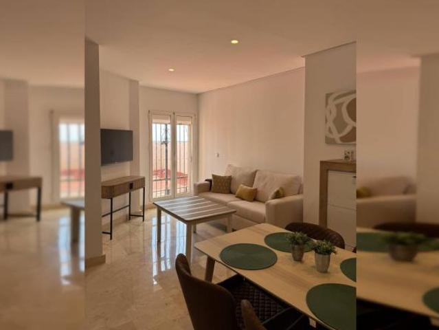 Alquiler 2 Dormitorio Apartamentos Malaga Malaga DS103615207