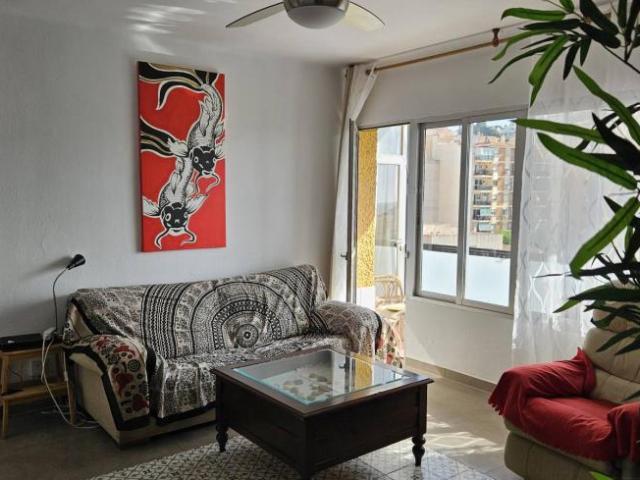 Alquiler 2 Dormitorio Apartamentos Malaga Malaga DS103772718