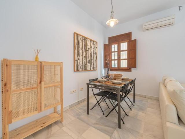 Alquiler 2 Dormitorio Apartamentos Málaga Málaga DS103844640
