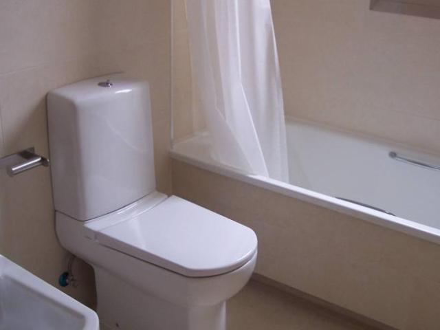 Alquiler 2 Dormitorio Apartamentos Malaga Malaga DS103013713