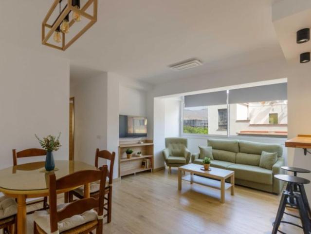 Alquiler 2 Dormitorio Apartamentos Malaga Malaga DS103285703