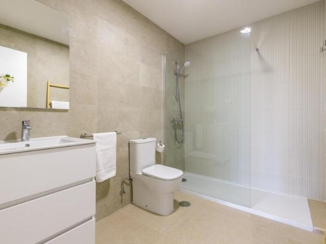 Alquiler 2 Dormitorio Apartamentos Malaga Malaga DS103285864