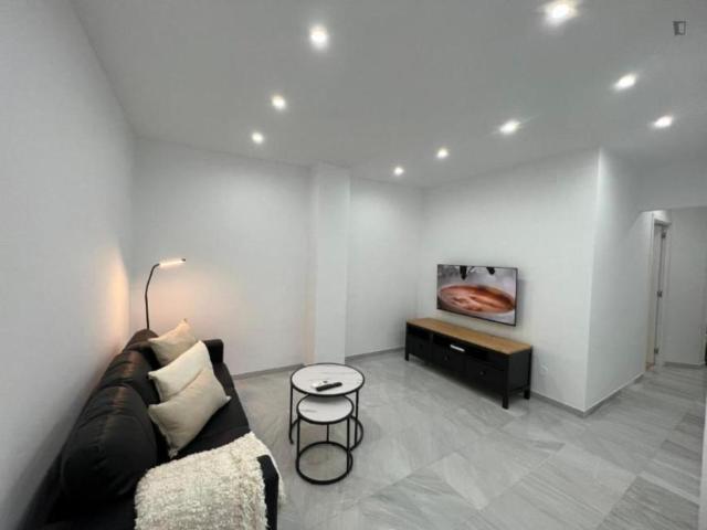 Alquiler 2 Dormitorio Apartamentos Malaga Malaga DS103286014