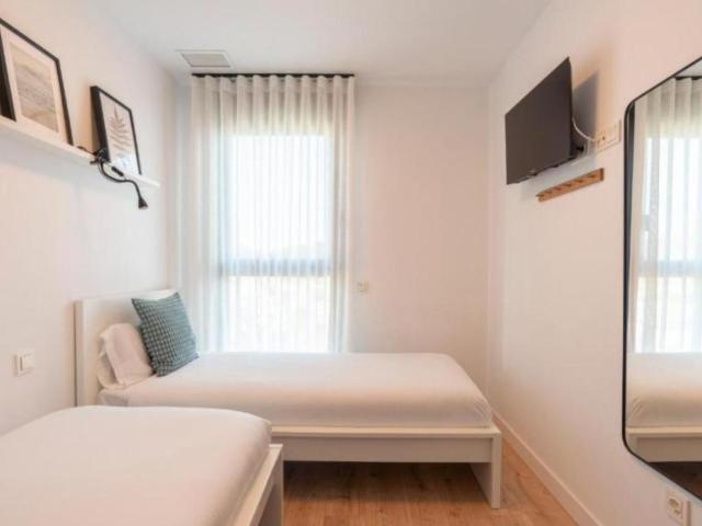 Alquiler 2 Dormitorio Apartamentos Malaga Malaga DS103286289