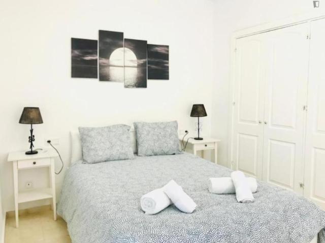 Alquiler 2 Dormitorio Apartamentos Malaga Malaga DS103287422