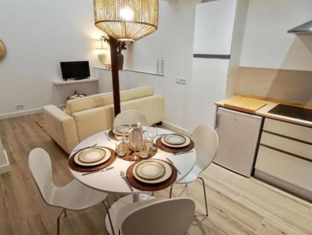 Alquiler 2 Dormitorio Apartamentos Malaga Malaga DS103287391