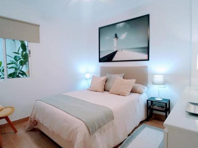 Alquiler 2 Dormitorio Apartamentos Malaga Malaga DS103340339