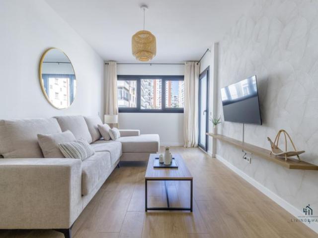 Alquiler 2 Dormitorio Apartamentos Málaga Málaga DS104754961
