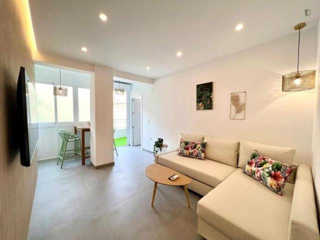Alquiler 2 Dormitorio Apartamentos Málaga Málaga DS104867723