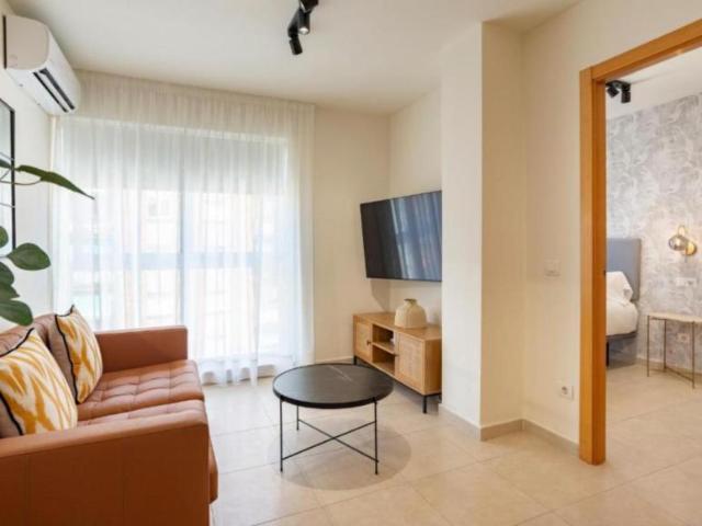 Alquiler 2 Dormitorio Apartamentos Málaga Málaga DS104919842