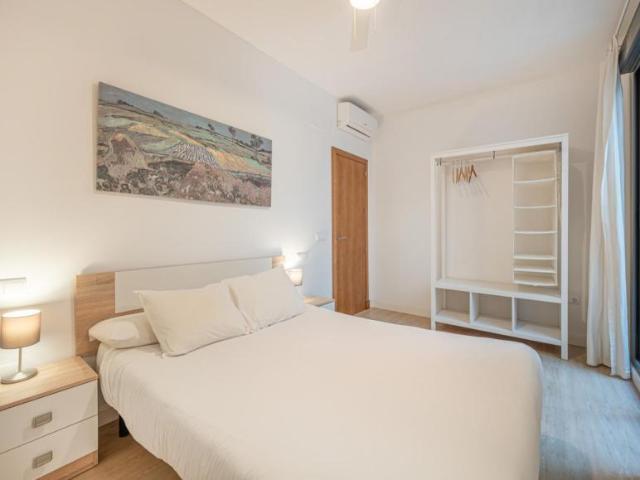 Alquiler 2 Dormitorio Apartamentos Málaga Málaga DS104145430
