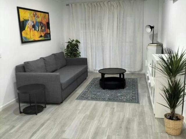 Alquiler 2 Dormitorio Apartamentos Málaga Málaga DS104324562