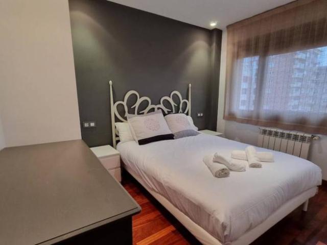Alquiler 2 Dormitorio Apartamentos Oviedo Oviedo DS101821820