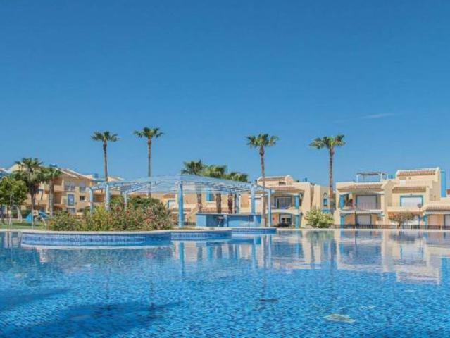 Alquiler 2 Dormitorio Apartamentos Alicante Alicante DLS101735411
