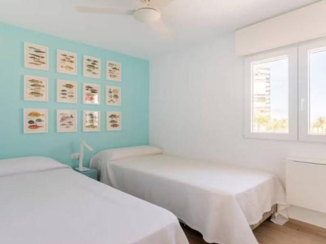 Alquiler 2 Dormitorio Apartamentos Alicante Alicante DLS101835359