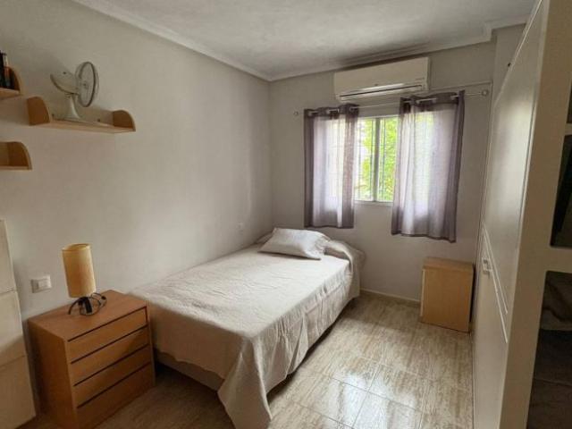 Alquiler 2 Dormitorio Apartamentos Alicante Alicante DLS102250806