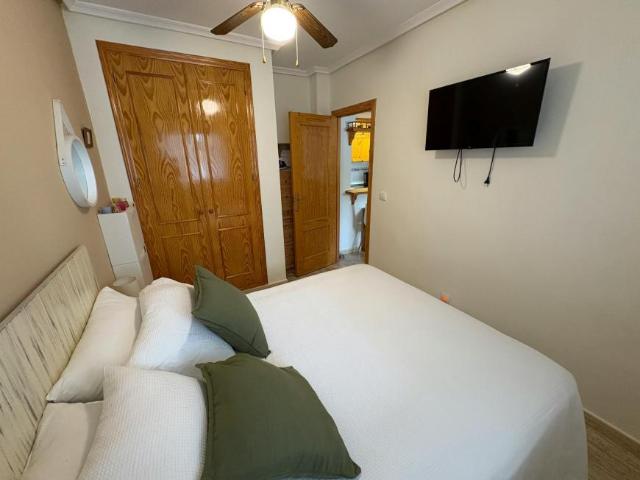 Alquiler 2 Dormitorio Apartamentos Alicante Alicante DLS102884533
