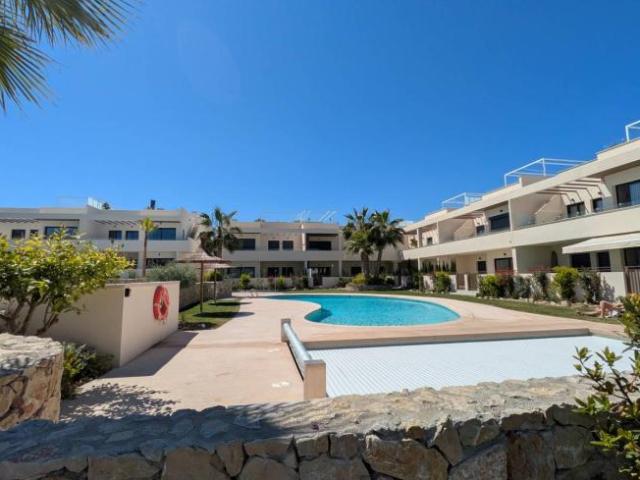 Alquiler 2 Dormitorio Apartamentos Alicante Alicante DLS102886710