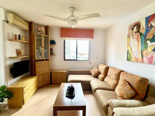 Alquiler 2 Dormitorio Apartamentos Alicante Alicante DLS94724497