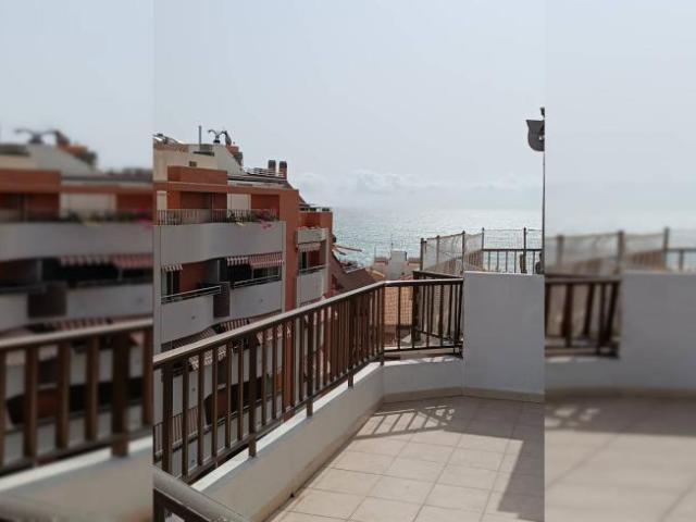Alquiler 2 Dormitorio Apartamentos Alicante Alicante DLS95746332
