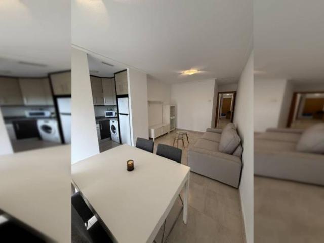 Alquiler 2 Dormitorio Apartamentos Alicante Alicante DLS93055593