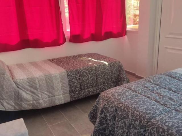Alquiler 2 Dormitorio Apartamentos Alicante Alicante DS104294235