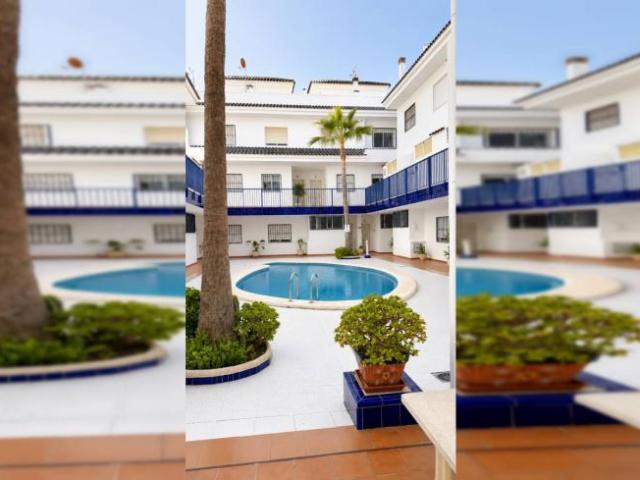 Alquiler 2 Dormitorio Apartamentos Alicante Alicante DS104403638